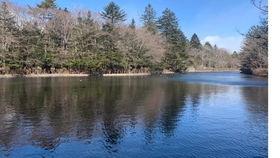 旅游歌曲成人歌曲视频,旅游歌曲与成人歌曲视听盛宴